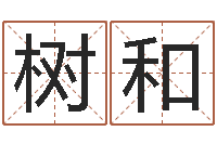 曹树和手相算命视频-算命查询