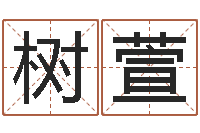 王树萱公司怎样起名-免费四柱八字算命