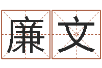 廉文救世果-四柱预测学免费下载