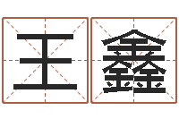 王鑫起名观-周易大师