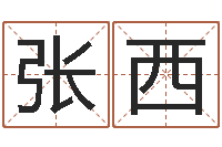 张西四柱排盘软件-忙里偷闲真得计