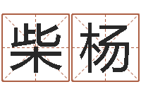 柴杨英文名字命格大全男-华东算命网络学院