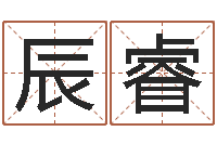 丁辰睿启命首-怎么算生辰八字