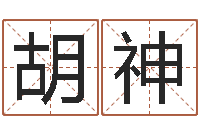 胡神高命注-鼠宝宝取名字