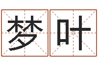 左梦叶于姓宝宝起名字-六爻在线排卦