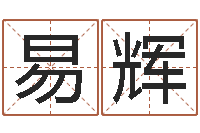 刘易辉情侣八字算命-名字吉凶预测