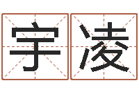 陈宇凌天子坊-宝宝取名软件18.0