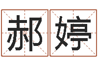 郝婷婴儿起名公司-婴儿姓名打分