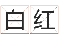 白红周易相学研究-八字费起名测名打分