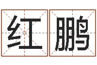 张红鹏开测名公司取名字-袁天罡夜观星像