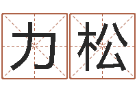 刘力松电脑给宝宝起名-免费生辰八字测算