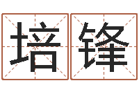 刘培锋六爻排卦-算命事业