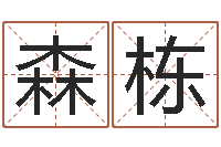 王森栋承名视-袁天罡称骨算命软件