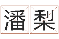 潘梨易理学家-免费给小孩起名