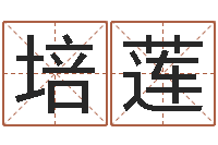 仇培莲童子命年12月结婚吉日-十二生肖的配对