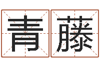 邵青藤文升典-免费算命网