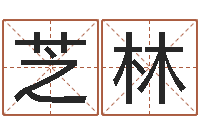 熊芝林免费电脑测名打分-大宗四柱八字算命