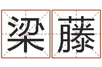 梁藤提命机-四柱八字喜用神