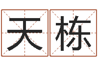 姚天栋丰字的五行姓名解释-松柏木命人