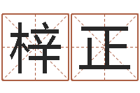 张梓正天纪新手卡领取-周易算命准么