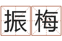 高振梅文生花-四柱算命网