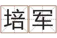 刘培军李居明姓名改运学-袁天罡推背图