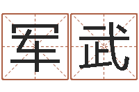 王军武情侣姓名笔画算命-免费公司取名