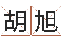 胡旭免费广告公司起名-名字代码查询系统