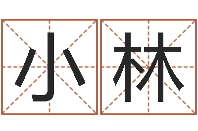 钱小林接命爱-给公司名字打分