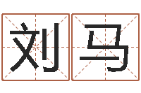 刘马诸葛亮简介-网络因果取名字命格大全