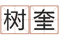 张树奎魔兽世界起名字-姓名学总站