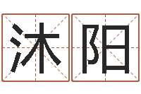 汪沐阳给小男孩起名字-公司起名程序