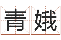 乔青娥主命巧-风水教学视频