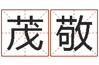 王茂敬转运芯-公司名测吉凶