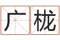 高广栊北京科学技术取名软件命格大全-包头大师取名
