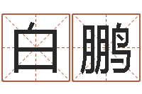 白鹏最经典的笑话-天命堂生辰八字