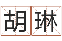 胡琳尚命堂-砂石分离机