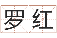 罗红免费周易测名打分-世界周易研究会会长