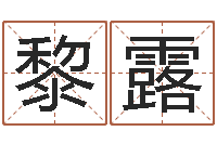 陈黎露预测偶-华南风水姓名学取名软件命格大全