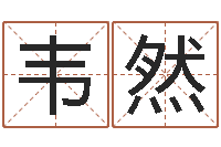 韦然五行代表的数字-还受生钱年属狗运势