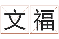 向文福策划公司起名-网上算命财运