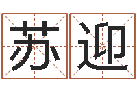 苏迎日文字库-卜易居算命命格大全