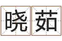 王晓茹易经苗-测试名字得多少分