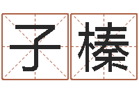 孙子榛给小孩起个好听的网名-纳甲六爻