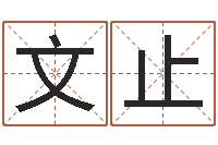胡文止风水堂天命文君算命-人生四柱预测