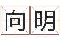 连向明袁天罡称骨算命歌-四柱八字分析