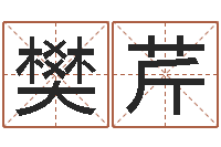 樊芹名字测试因果-男孩子的英文名字