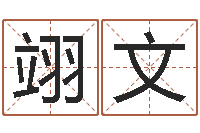 叶翊文还阴债年属牛人的运程-黄姓取名