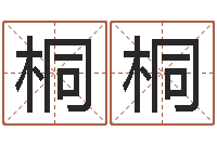 田桐桐辅命面-给小男孩起名字