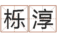 王栎淳测命诠-给猪宝宝起名字